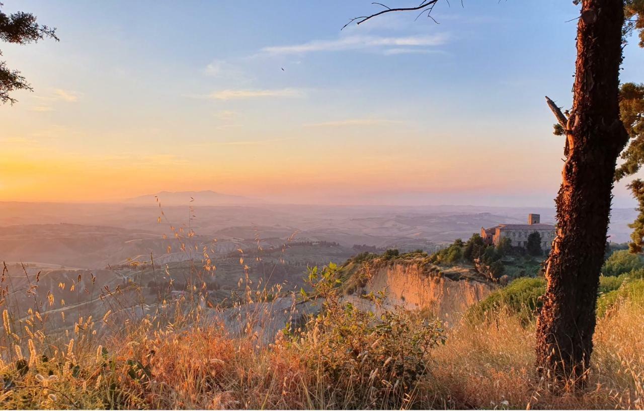 Il Sogno Di Annalisa Il Nido Daire Volterra Dış mekan fotoğraf